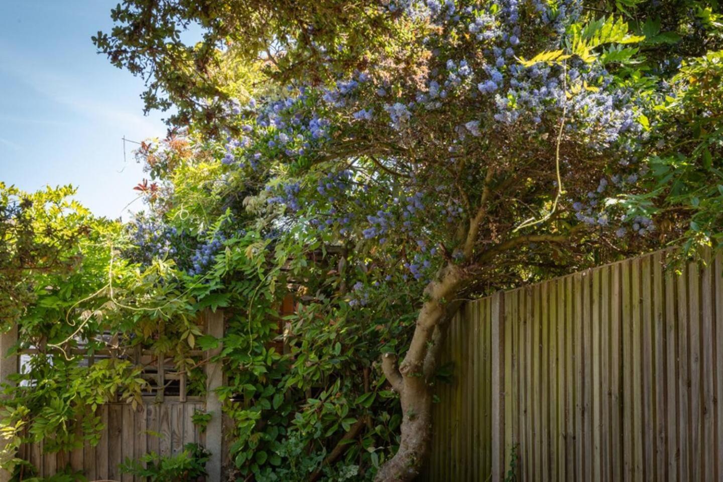 Eden Cottage Whitstable Exterior photo
